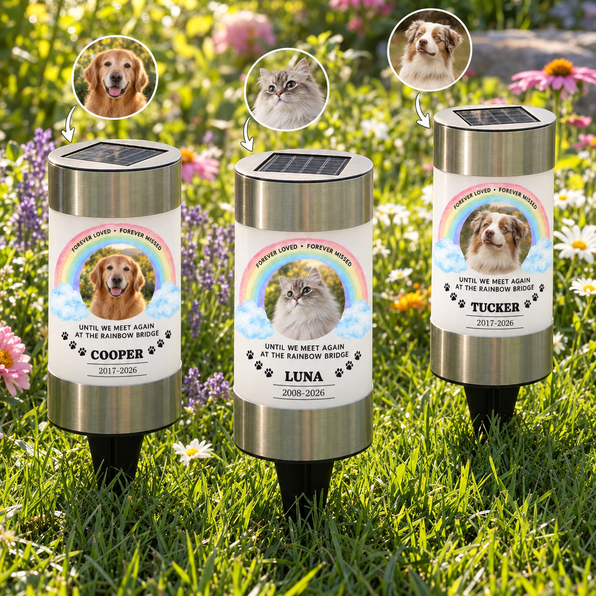 Forever Loved Rainbow Bridge Personalized Pet Memorial Solar Light