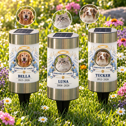 Personalized Angel Wings Pet Memorial Solar Light