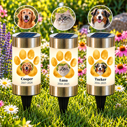Personalized pet memorial solar light with a dog or cat photo, name and memorial years glowing in a garden