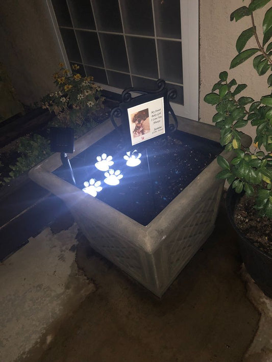 Solar Paw Print Path Lights (Warm Light)